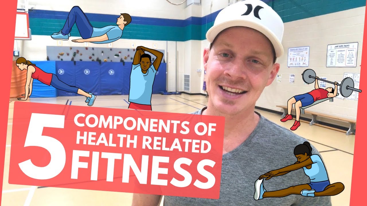 5 Health-related Fitness Components