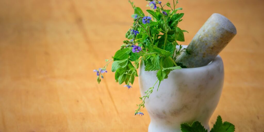 Herbs for Balancing Hormones